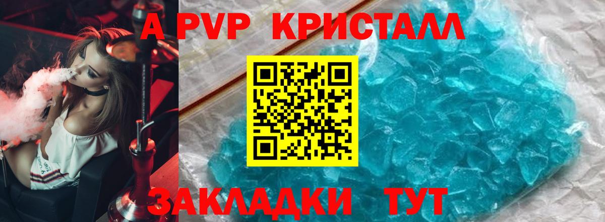 A PVP СК КРИС Шадринск
