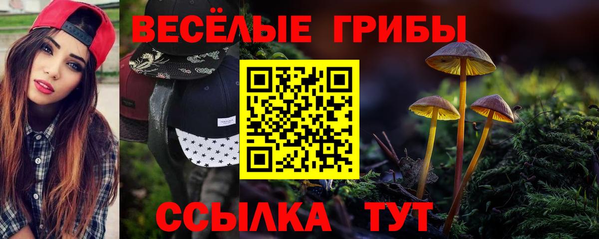 Псилоцибиновые грибы прущие грибы Шадринск