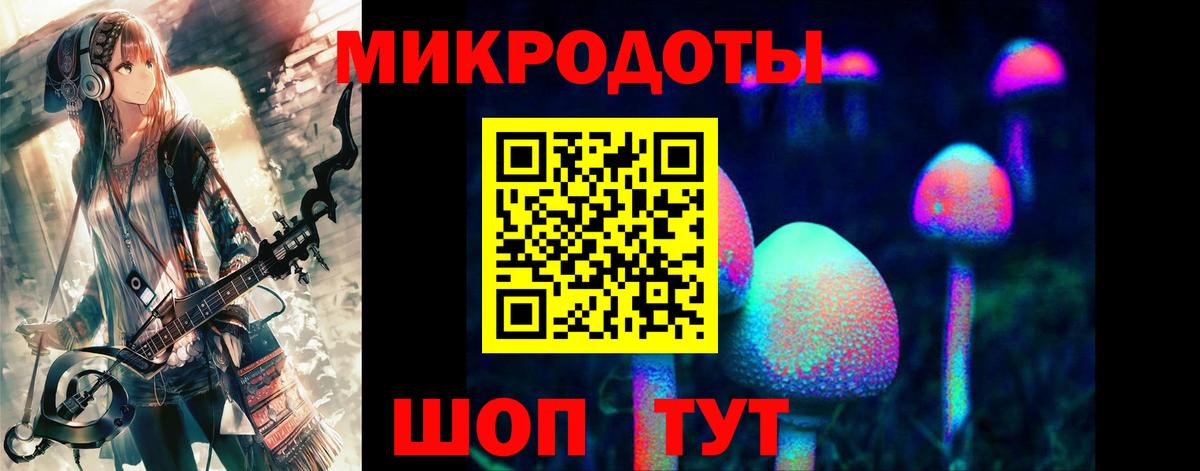 Галлюциногенные грибы Psilocybe  Вход с VPN  Шадринск 